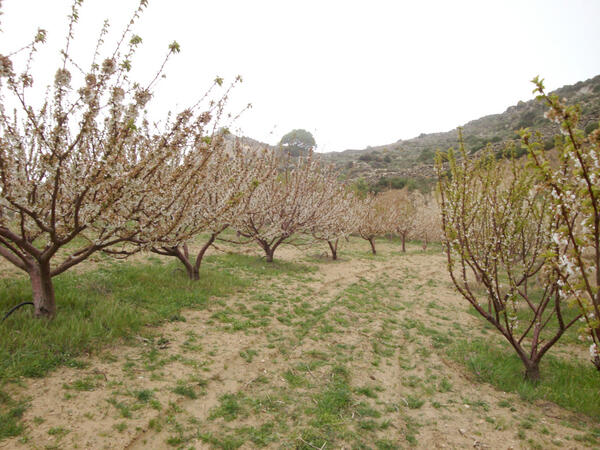 _Stevehacker_'s tweet image. &quot;ΔΕΝ ΥΠΑΡΧΕΙ ΔΟΥΛΕΙΑ ΟΥΤΕ ΣΤΗΝ ΕΠΙΦΑΝΕΙΑ ΕΡΓΑΣΙΑΣ&quot; ΛΕΕΙ .....

ΕΛΑ ΕΔΩ ΝΑ ΣΟΥ ΔΕΙΞΩ ΤΙ ΕΣΤΙ &quot;ΒΕΡΙΚΟΚΟ&quot; .....