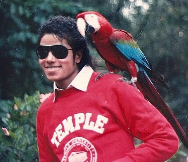 TempleUniv's tweet photo. Once a quarter, it is our sacred duty to share this picture. #PressingInstantTempleHappyButton http://t.co/z12sBWH1ow