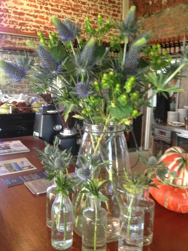 Snow holly. So pretty. Thanks balflower