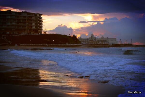 Nova Days tweet media