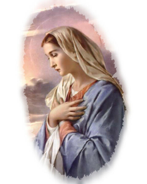 오늘은 예수님의 탄생예고 축일입니다^^
"말씀대로 저에게 이루어 지길 바랍니다." 하시며 모든 일을 마음속에 곰곰히
새기신 성모님을 따라... 오늘 하루 침묵하며 머무릅니다^^