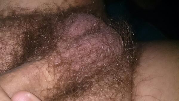 cocksucker63's tweet photo. Suck my hairy balls http://t.co/TxeBosndQh