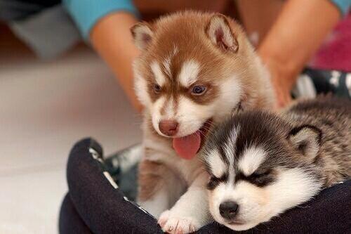 KendallJenner's tweet image. Mateo. I&apos;m dying RT @OfficialMateo: @KendallJenner KENYAAAAAA!!!! I miss you too!! I&apos;ve been meaning to send you this