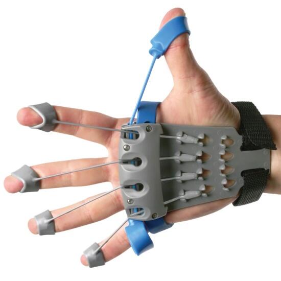 Tolki performansını arttırmak için spora başlayanlar varmış;