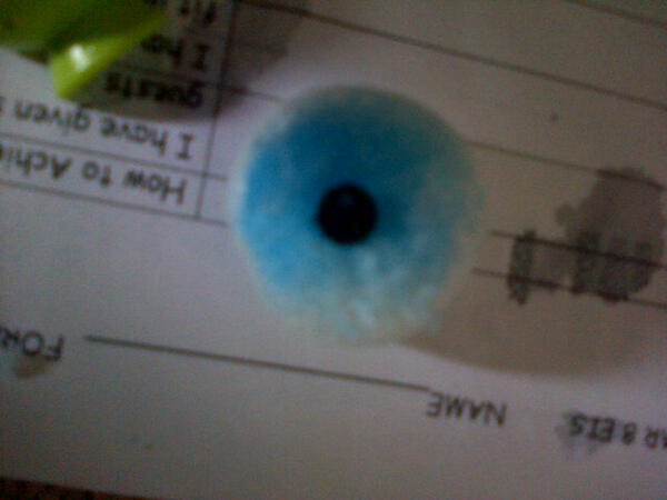 dijyx's tweet photo. The eyeball i made, eyey http://t.co/ZUOeSmSZfg