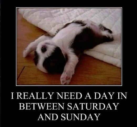 The Blue Light Pub  (@bluelightpub) on Twitter photo 