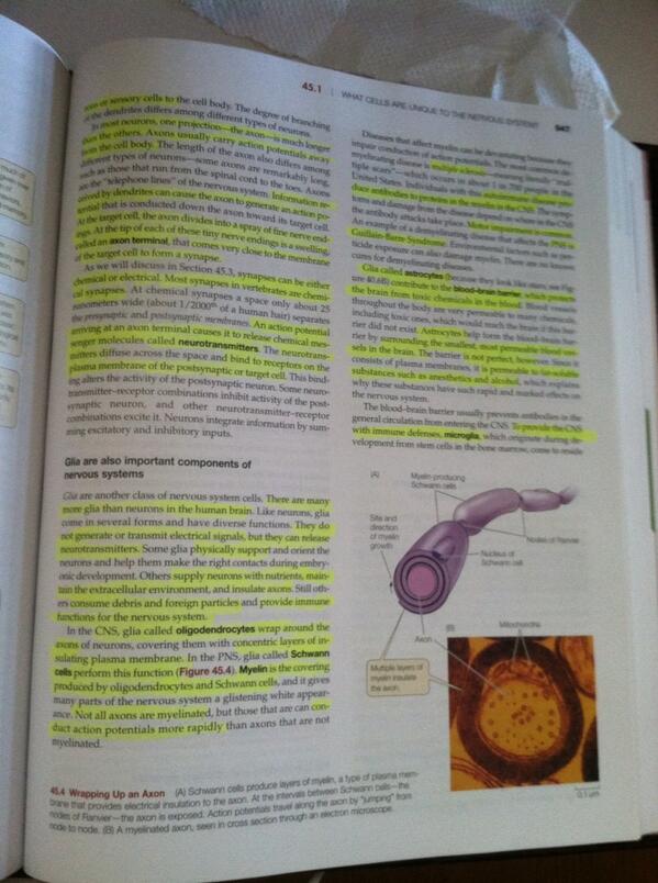 KanwalAziz's tweet image. Only highlight the important stuff. *Everything is highlighted.* Everything is important. 😭 #biomidterm