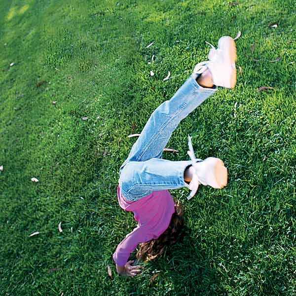 Family_Handyman's tweet image. Use these expert tips to care for your lawn and garden this spring: shout.lt/f9P8