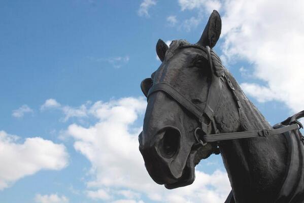 JBentleyPhotos's tweet photo. Bronze statue of a shire horse in Albert Dock, Liverpool #RT @LivEchonews @artinliverpool @liverpool_arts @dslrphoto http://t.co/oWigTfLoLQ