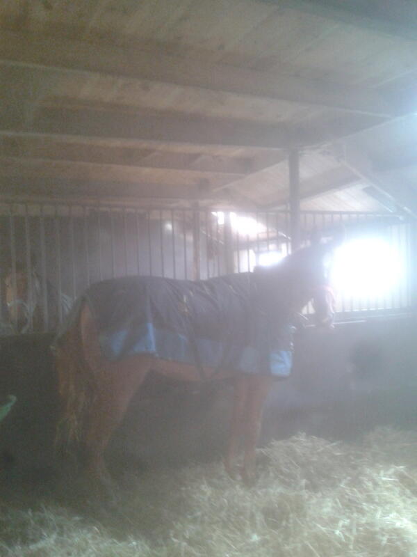 thommasio's tweet image. Stage!!!!!