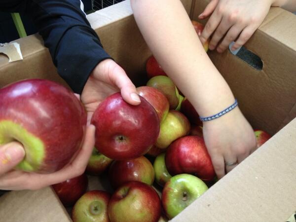 MsLarouche's tweet photo. Fruits for Health Week @RRHS_Arvida http://t.co/6uiOnjUv6a