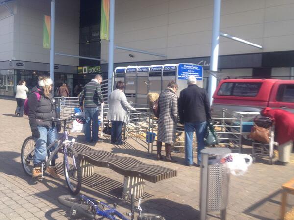 farms2ewe's tweet photo. #farms2ewe at Dockside shopping outlet http://t.co/20ci3VipPa
