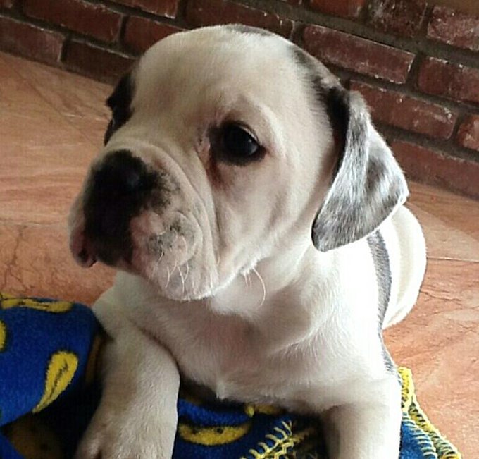 Watch Jerry's leaked NSFW photo on TwXstars