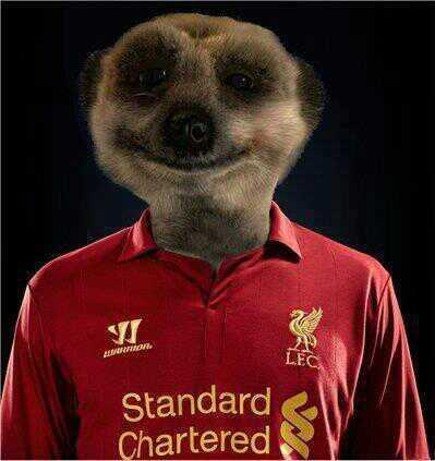 FrazLFC's tweet photo. Support liverpool! Simple's! http://t.co/urRPGbvhGB