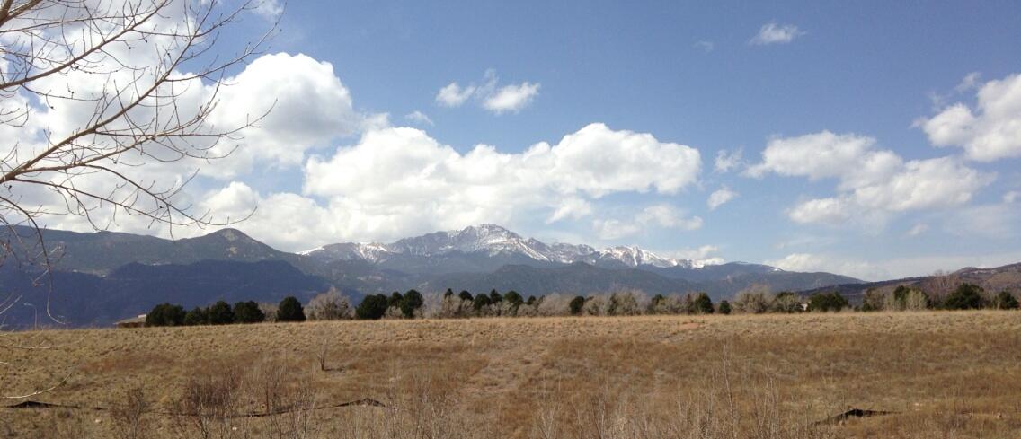 Twitter / ChrisCree: Hard to believe we're do for ...
