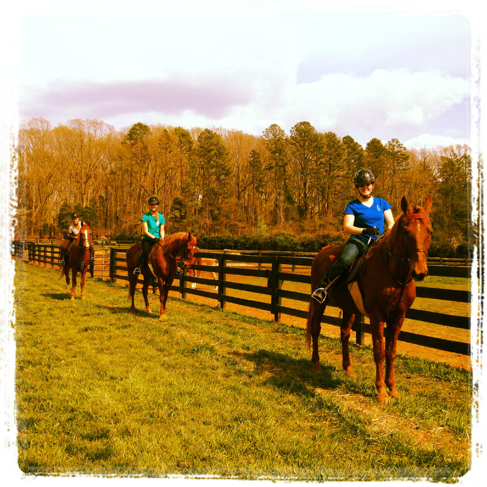 Lenux Stables On Twitter Beautiful Day For A Trail Ride Lenux Http T Co Pifmfrf2c2