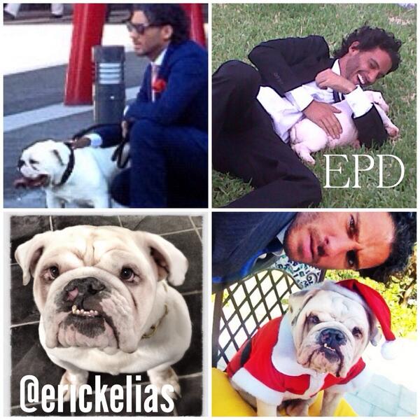 erickelias's tweet photo. 🐶😞🙏.... MI SANSON! http://t.co/k4vutF6cqO