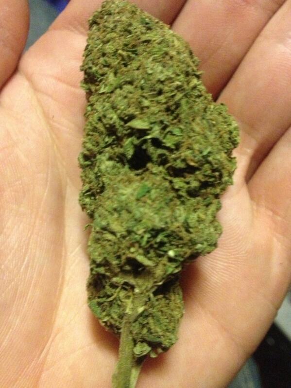 Tweet me your flavors! Currently enjoying some bubblegum kush...