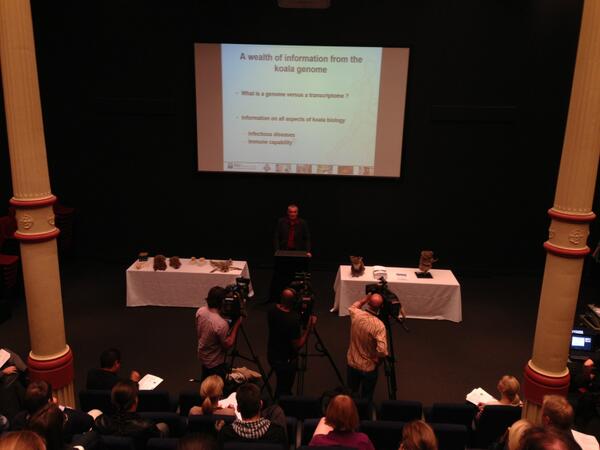 Australian Museum tweet media