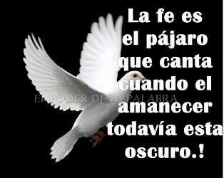 ballestas2006's tweet photo. Cuando estas solo y no encuentras nadie a t alrededor es cuando t das cuenta q siempre haz estado acompañado por Dios http://t.co/u9RFREGMxk