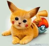 KittenAfterDark's tweet photo. #KittensAfterDark http://t.co/wf4ZmaOCwA