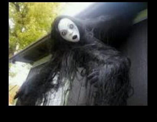 addieob18's tweet photo. @BigCatCatlett pleaaassseee....you can't deny this cute face http://t.co/SShfSYivCm