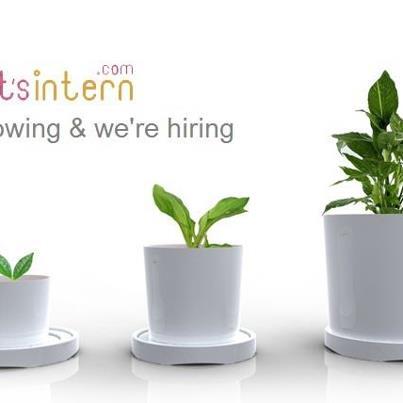 Letsinternship's tweet photo. We're growing and are looking for the very best to join us. http://t.co/bH2GaItKv5