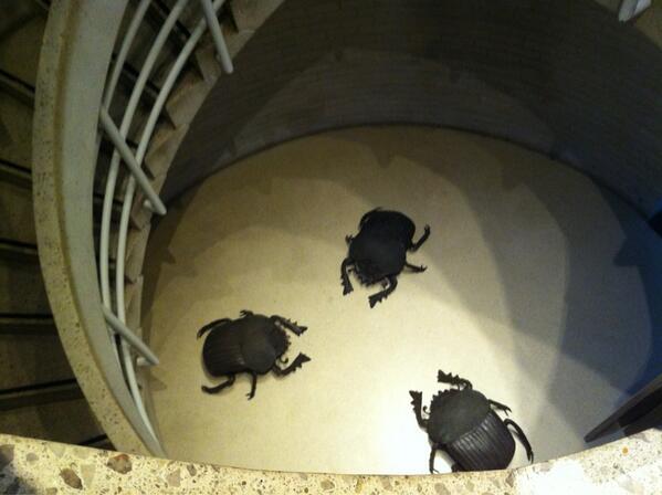 kthoms's tweet image. First major bugs sighted at the college before beginning of #lwc2013 #cgcam