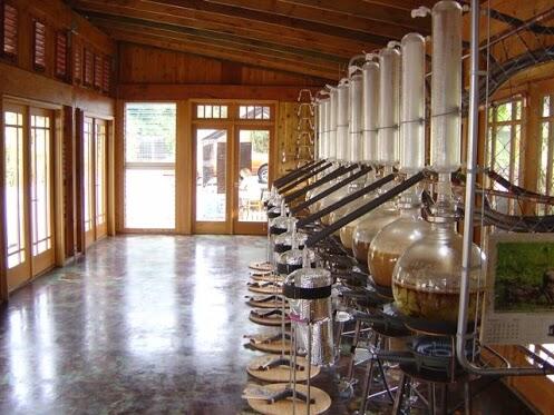 Beautiful distillation process performed by Amala ingredient suppliers