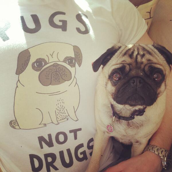 Ben Cairns tweet media