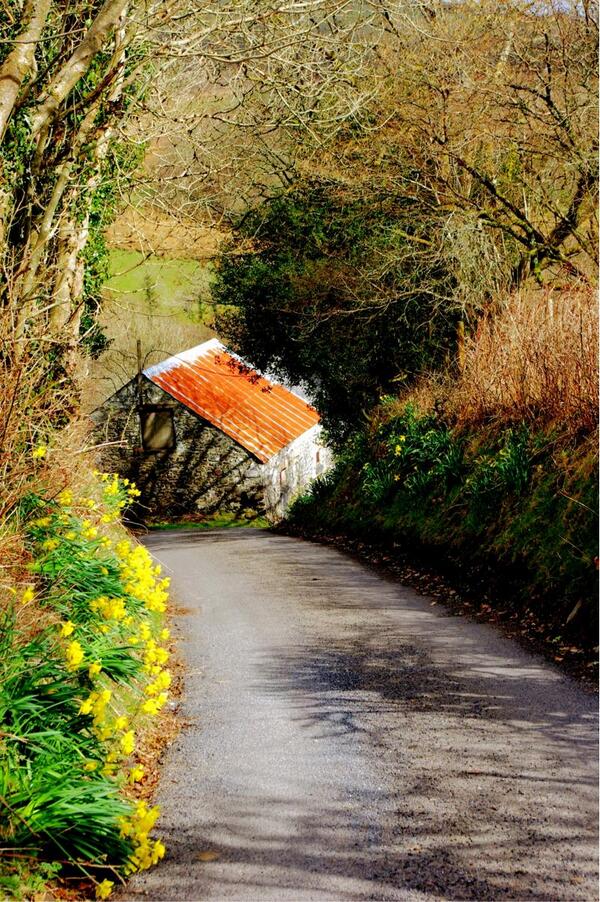 Llanerchindda Farm tweet media