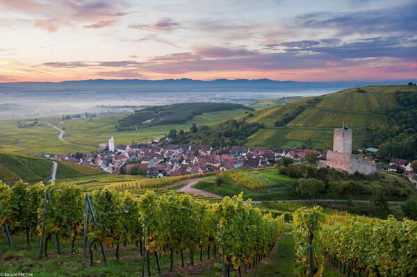 Lever de soleil sur le village de Katzenthal... Un moment magique :-)