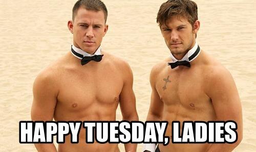 cindersc's tweet image. Thought I&apos;d share ... #constructiveday