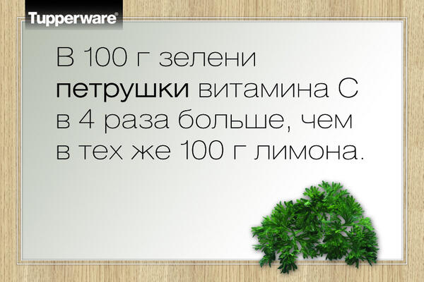 TWCIS's tweet photo. Полезно! Интересно! Вкусно! http://t.co/6xAaDZQp1Y