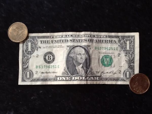 kingcormie's tweet photo. @howyanow_ #SpiritAirlines #BudgieGalore #DollarBills #$$$$$$$$$$$$ http://t.co/rpnQdjuiCk