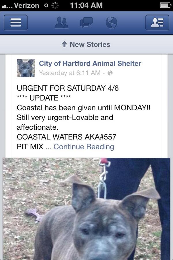 JenaSpano's tweet photo. Urgent rt http://t.co/2vCvefPhfz