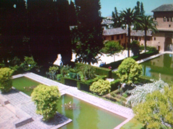 martolis93's tweet photo. @RelatoViajes parte de los jarnins de la Alhambra, Granada. La vida del musulman esta ligada a la idea del paraiso. http://t.co/yqmHacEotm