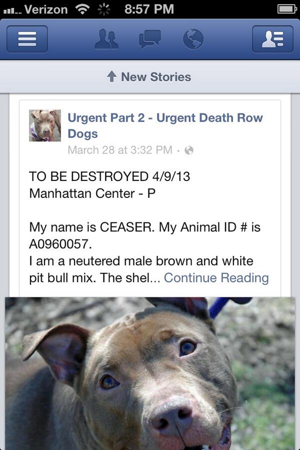 JenaSpano's tweet photo. Death row rt http://t.co/Oc1Nb87fUU