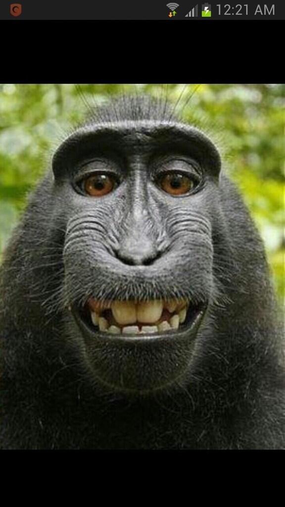 Insane4wo's tweet image. @1LeylaRodriguez haha #keepmsmiling sis 😃