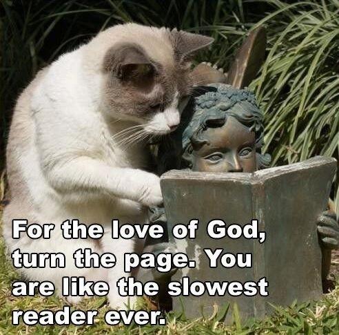 robertpuppet's tweet photo. http://t.co/O1jiT98dac