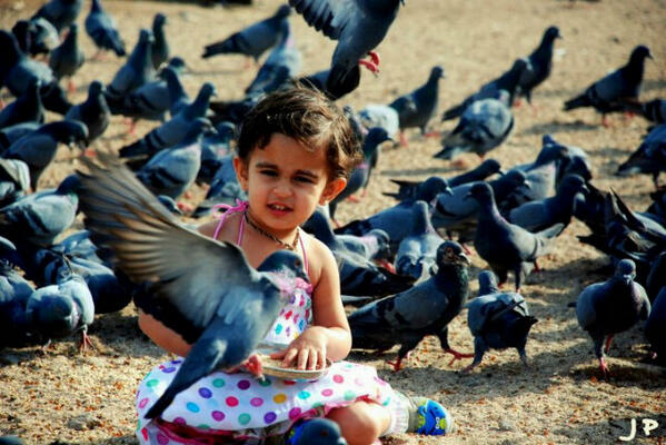 jaykpopat's tweet photo. My lil tweety ♥ http://t.co/fAHKqwxjAw