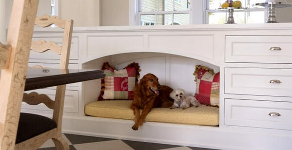 Pawabunga's tweet image. Classic styling, innovative design. Beautiful dog-bed, no? #ClassyDogs [pic]