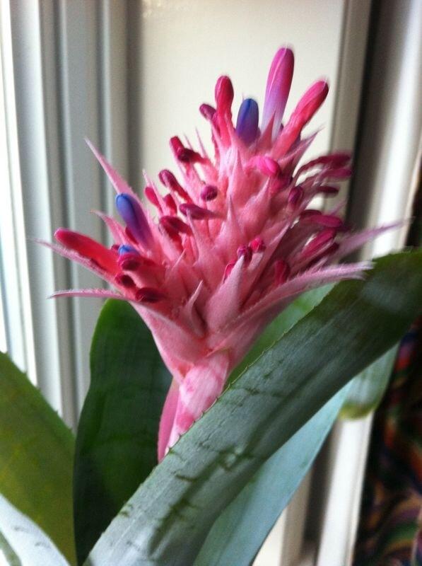 lsearleflorist's tweet photo. http://t.co/v0C7goY4gp