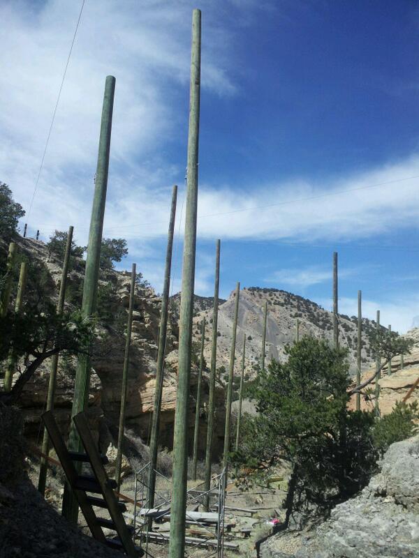 Saguaros? Nope, skyrocketing poles on #zipline property, soon to be #aerialpark