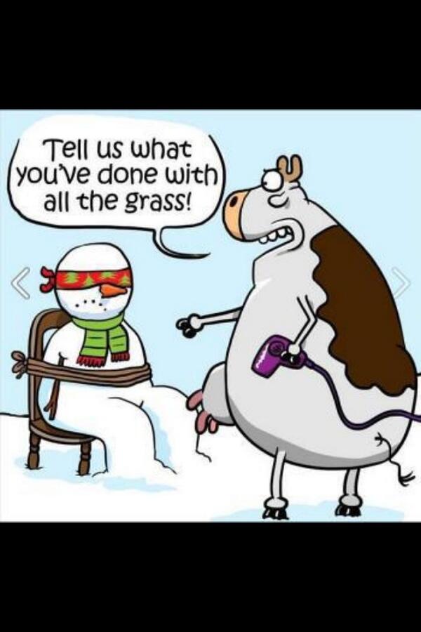 catchmeghanitis's tweet image. #WIproblems