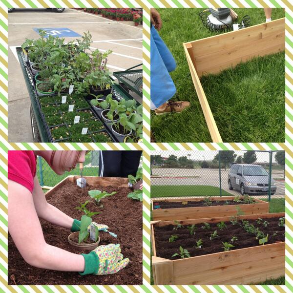 TheHayesSchool's tweet photo. Can't wait for our preschoolers to see "Wanda's Garden" and get a hands on look at how God makes things grow! http://t.co/QPCuDhnnVv