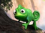 caroline_daviss's tweet image. “@_katie_newell_: My future pet 💜💜💜 #pascal #tangled http://t.co/15bMSuRHDh” @Alexajnichols lookout!!