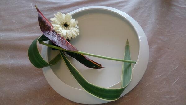 julia36J's tweet photo. free style: Newzealand flax, Croton &amp; Garbera.  #ohararyu http://t.co/zk4An1gcYi