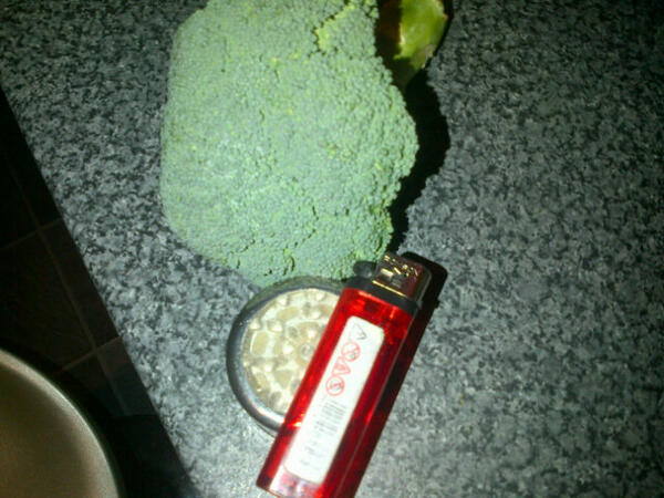 MarleySosa's tweet photo. Niggas be like I got the peng ammie...Lol http://t.co/uGuuAd6BeZ