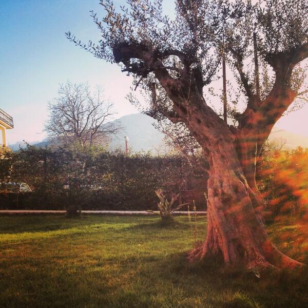 Federica Tufano tweet media